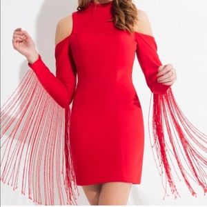 NWT Red beaded fringe dress